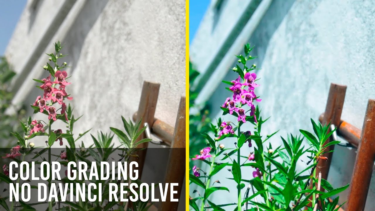 Color Grading no DaVinci Resolve - TUDO O QUE VOCÊ PRECISA SABER