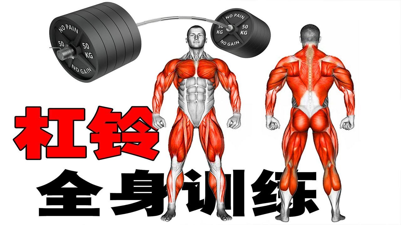 杠铃全身训练方案，最猛的一套杠铃全身式训练攻略