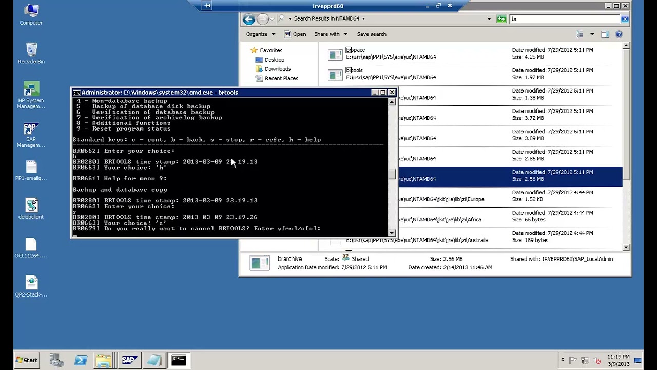 SAP Oracle BRTools