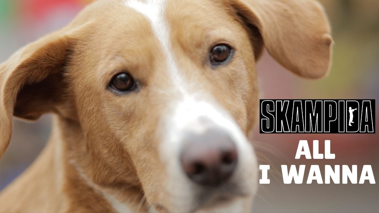 Skampida - All I Wanna