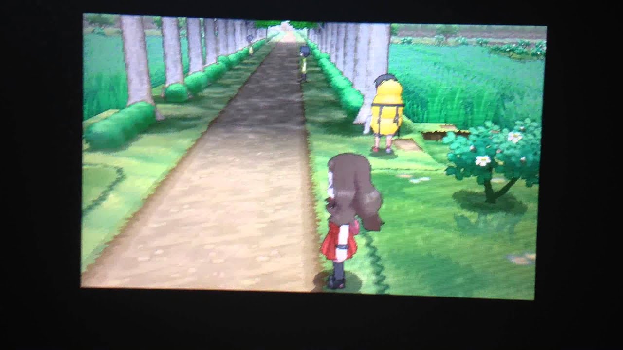 Pokemon X Japanese Digital Lag - On New 3DS.