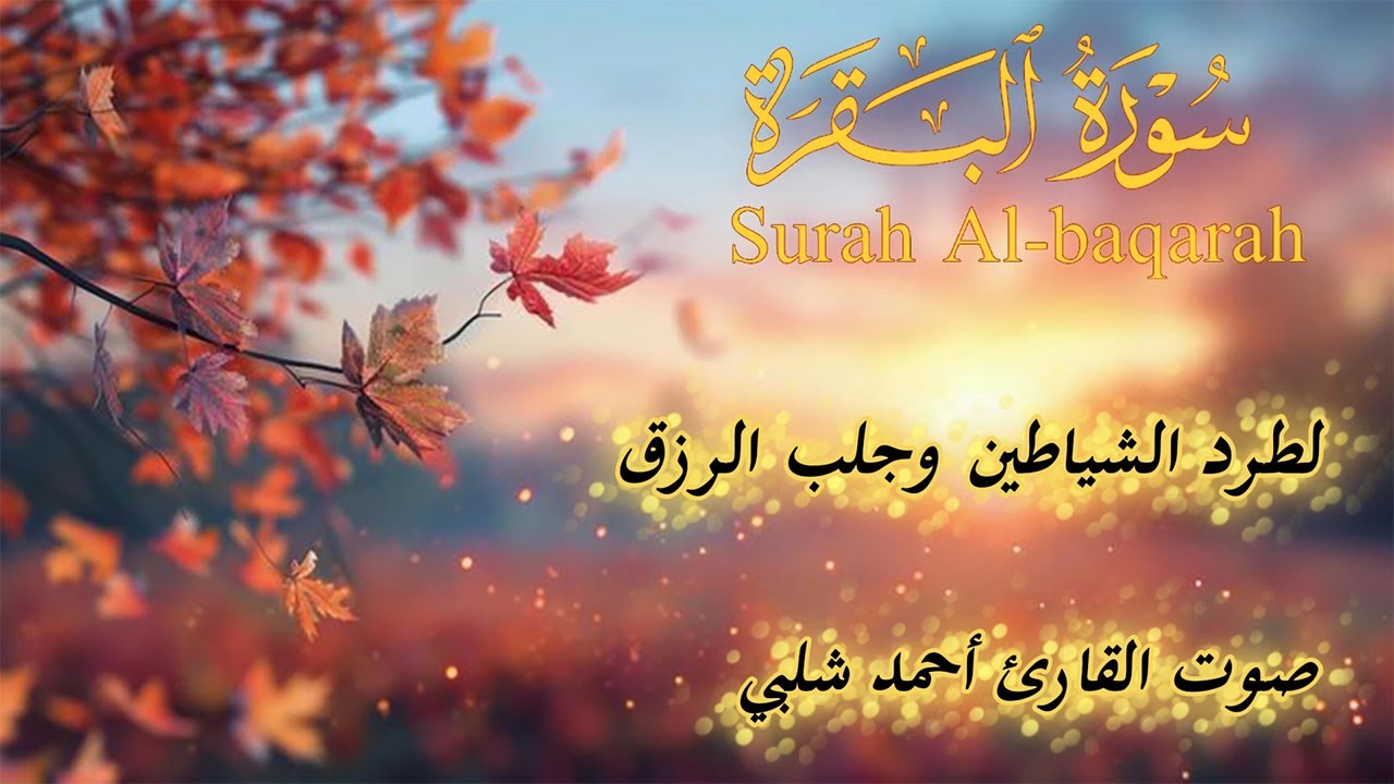 سورة البقرة , القارئ أحمد شلبي , لتحصين البيت و طرد الشيطان و السحر Surah Baqara