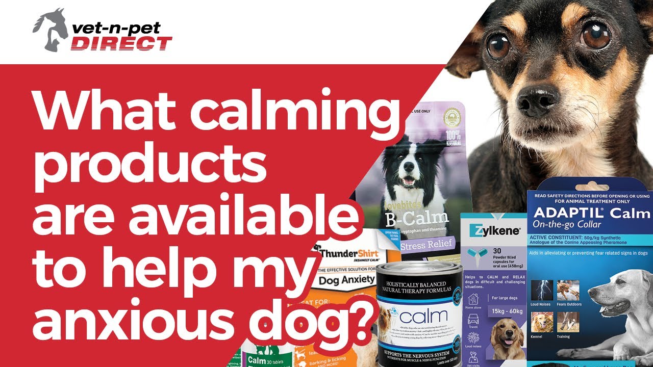 What calming products are available to help my anxious dog?