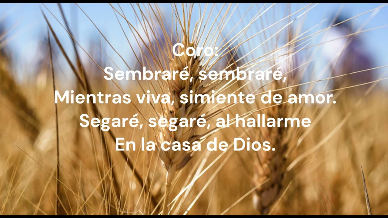 Sembraré la simiente preciosa (con letra) - canta Esteban Cruz