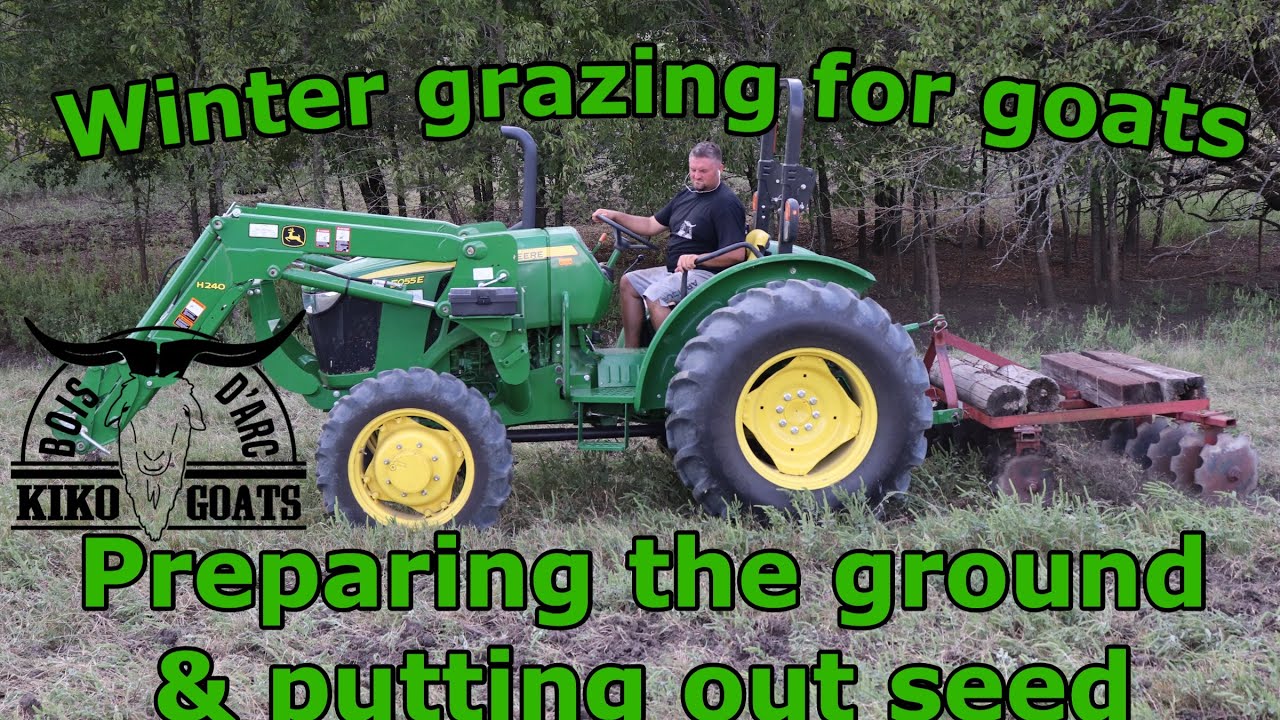 Winter Grazing For Goats | Preparing the ground & Putting out Seeding | Kiko Goats