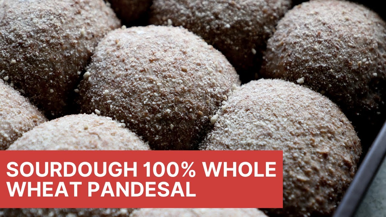 How to Make 100% Whole Wheat Sourdough Pandesal II Sourdough Whole Wheat Bread Rolls