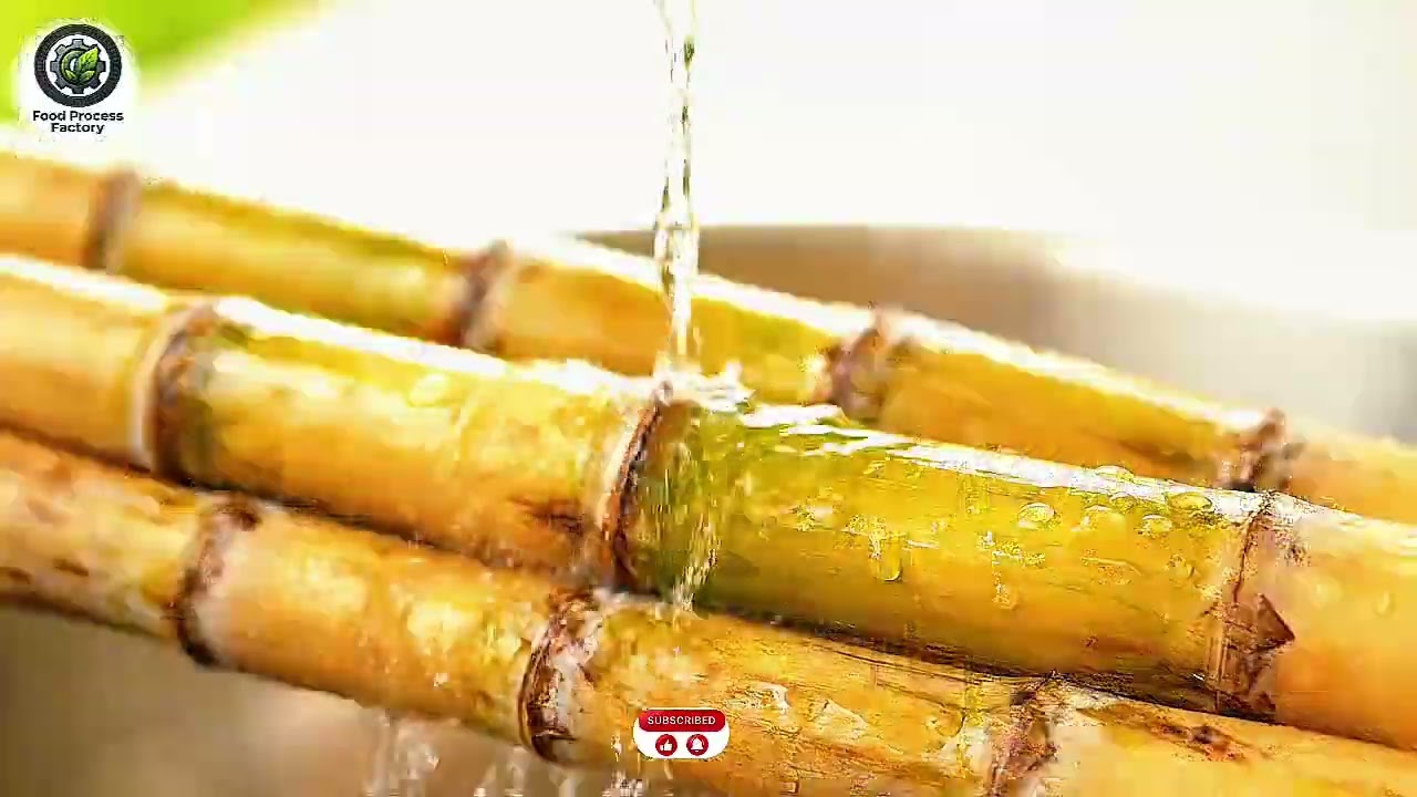 De la canne au jus 🥤#2026 #science #processus #food 