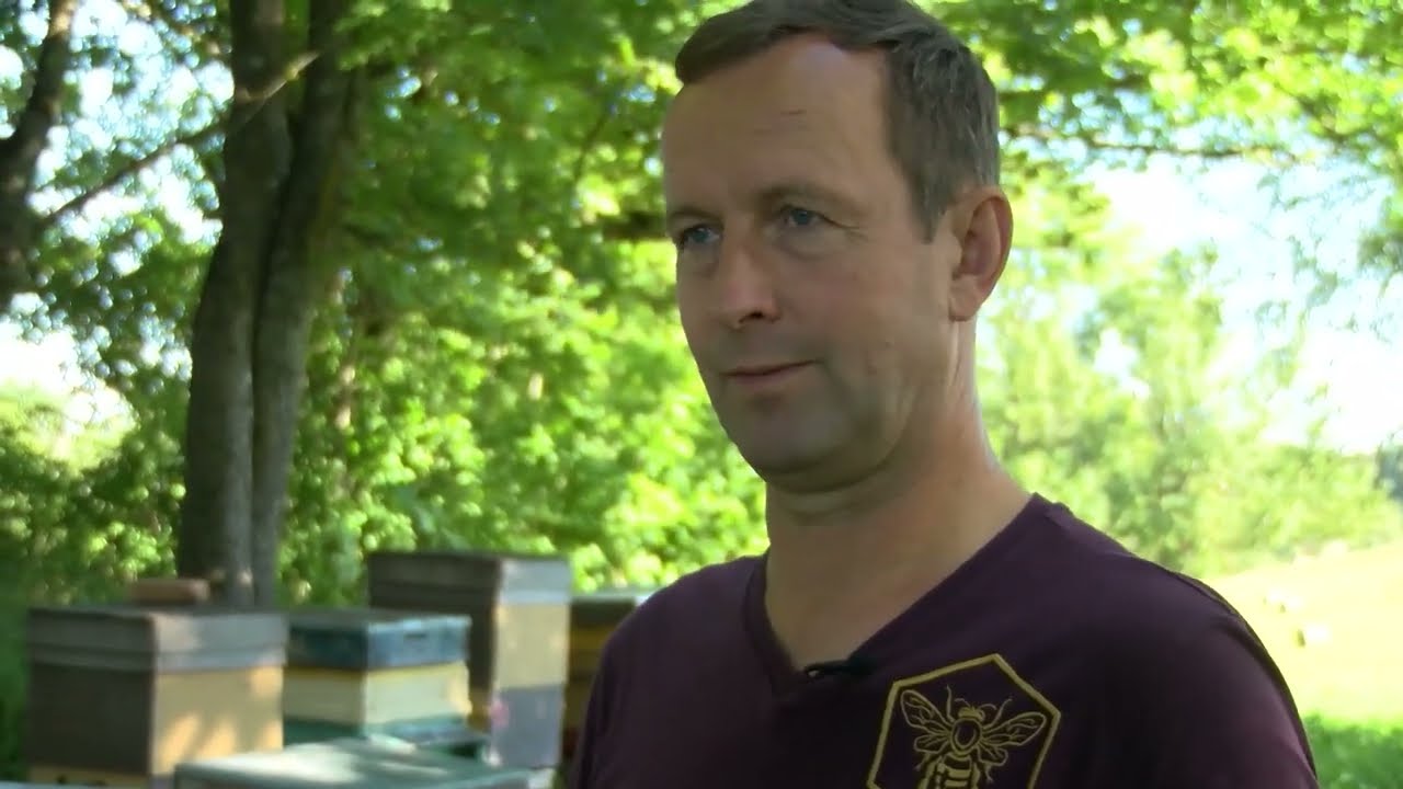Mājā un sētā: Biškopis jau trīspadsmit gadus. Imants Dauksts