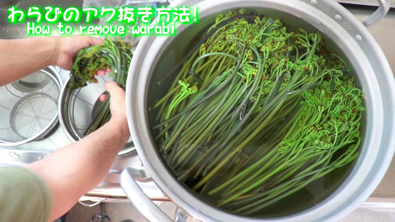 わらびのアク抜き方法😃🌈💞 Long ver. How to remove warabi