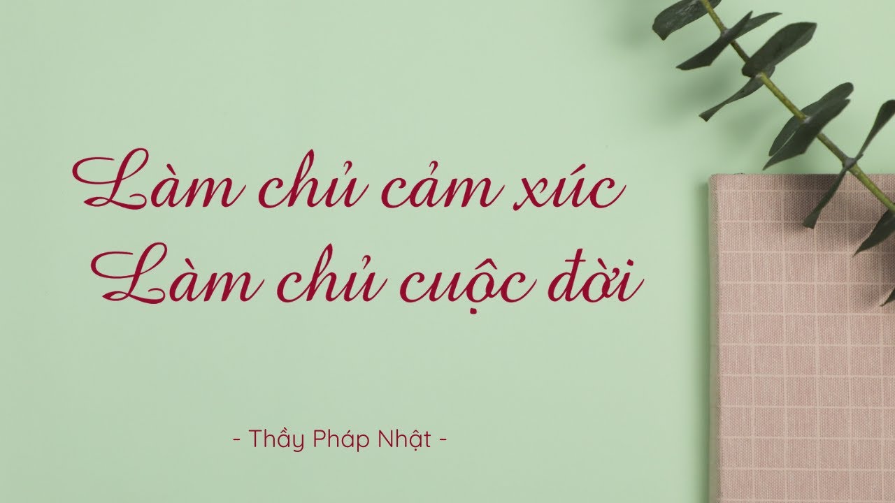 Làm chủ cảm xúc, làm chủ cuộc đời - Khóa học với thầy Pháp Nhật - 28.08.2024