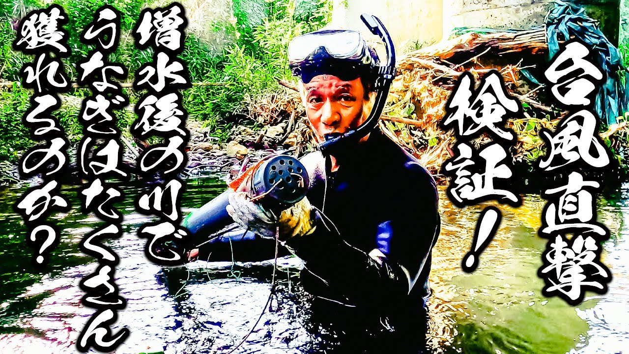 【検証】増水後の川はうなぎがたくさん獲れるのか？