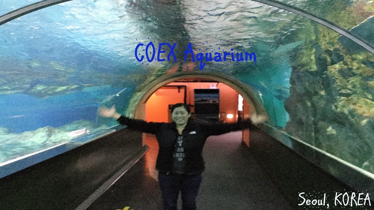 Amazing Adventure at the COEX Aquarium in Seoul
