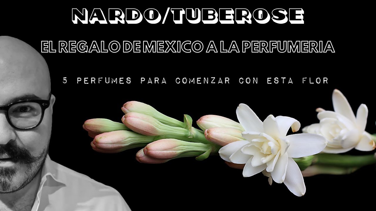 |TOP 5 Perfumes Masculinos basados en Nardo| My Scent Journey