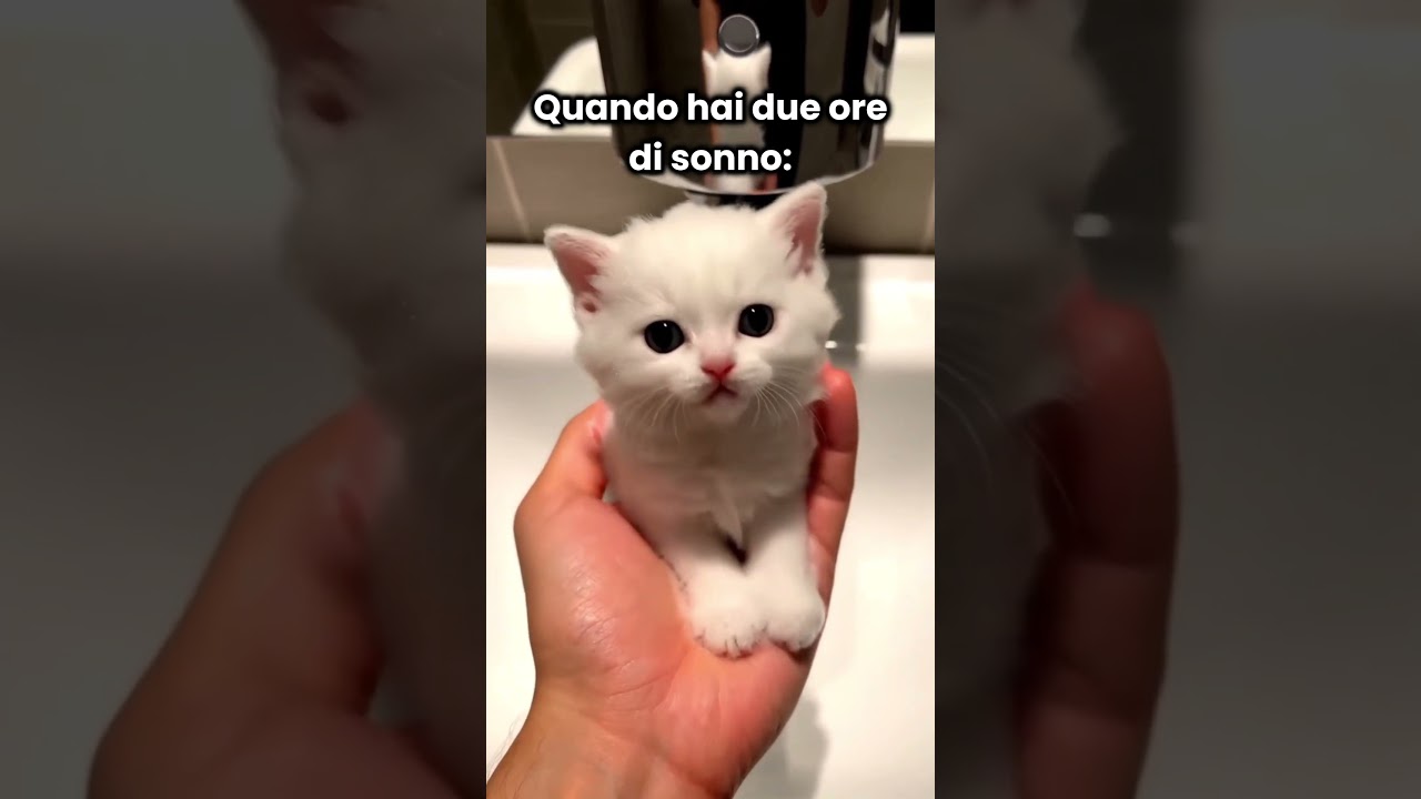 Quando hai due ore di sonno😂
