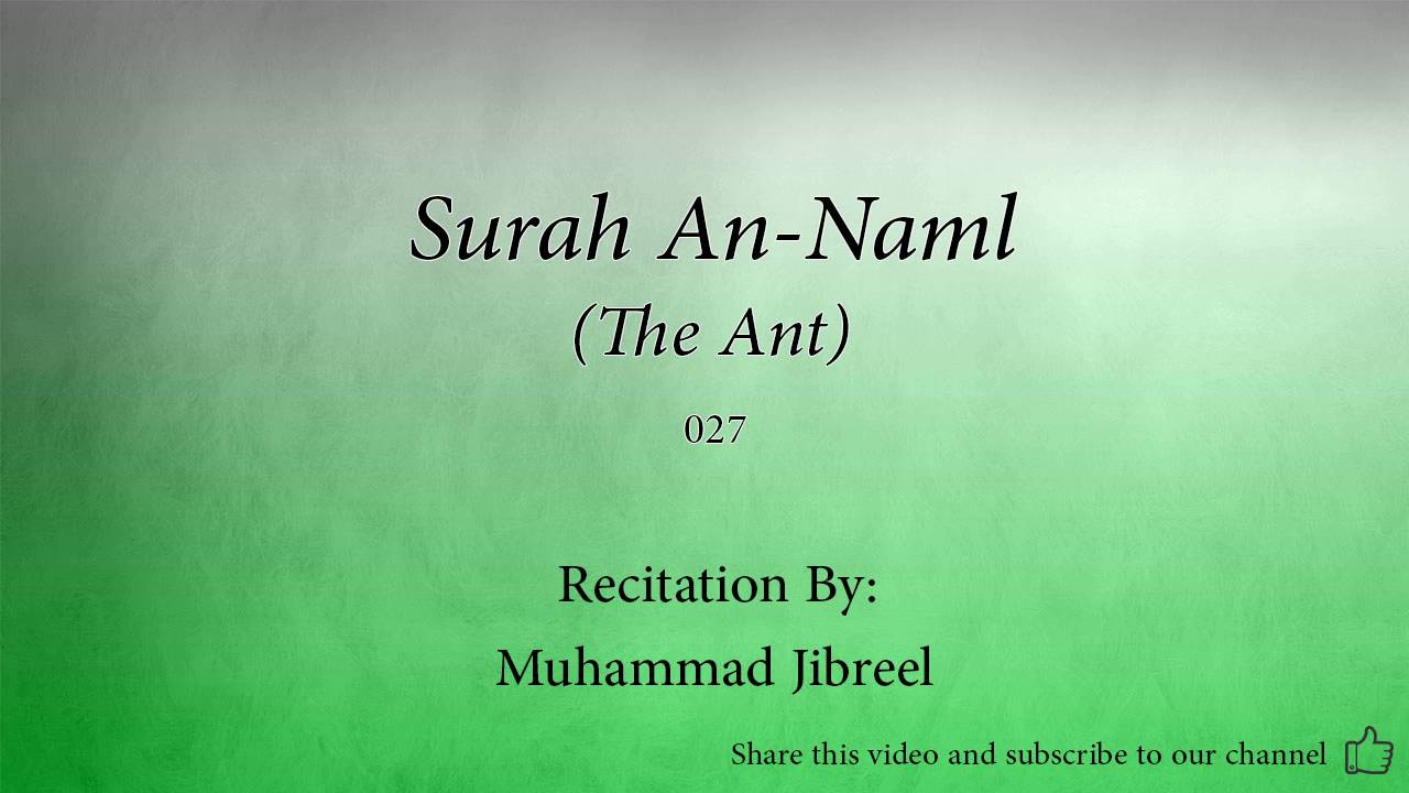 Surah An Naml The Ant   027   Muhammad Jibreel   Quran Audio