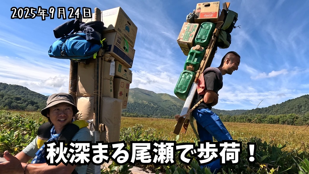【紅葉の尾瀬】秋深まる尾瀬ヶ原を７１㎏背負って進む歩荷の一日