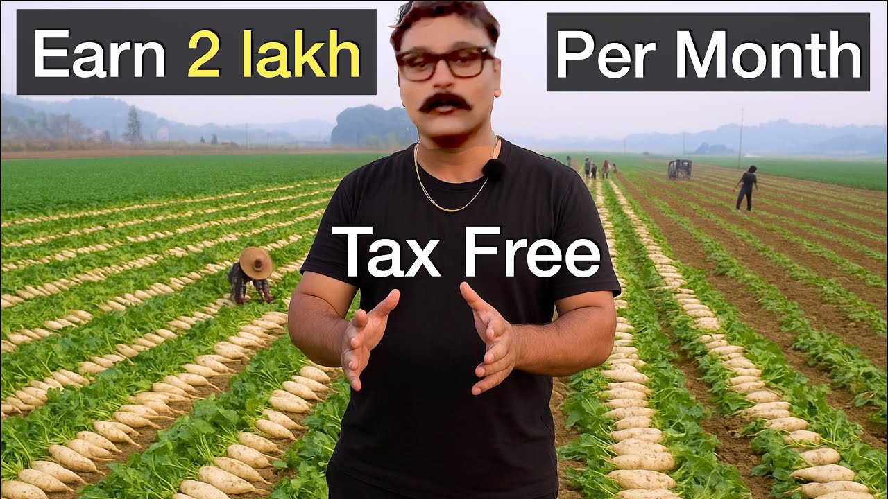 Earning 2 lakhs from Reddish farming, Video series, Part 1