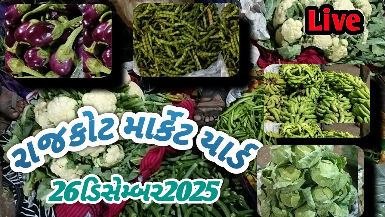 Rajkot market yard 26/12/2025 old market yard na bhav#vegitablemarket #market 