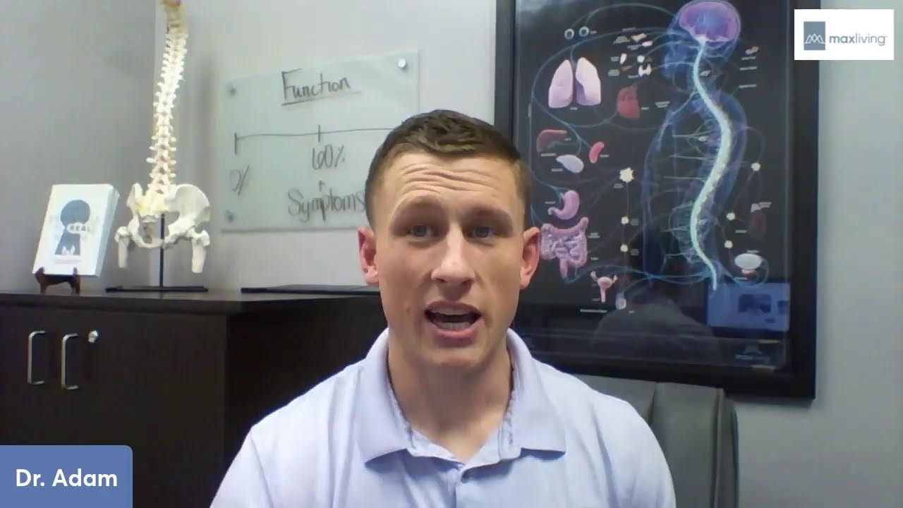 Video 2 - Mitochondria