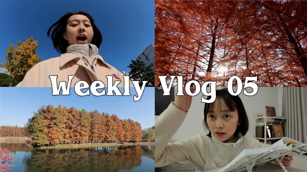 eng)Weekly Vlog05｜注意力最值钱💰过好每一天❤️自律运动一周三练🏋️苏州虎丘湿地公园🍁一起去赏秋🍂