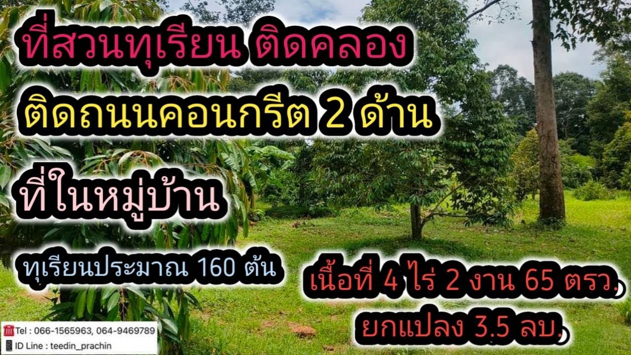 ขายที่สวนทุเรียน ที่ติดถนนคอนกรีต2 ด้าน ส่วนด้านหลังติดคลอง ที่ในหมู่บ้าน