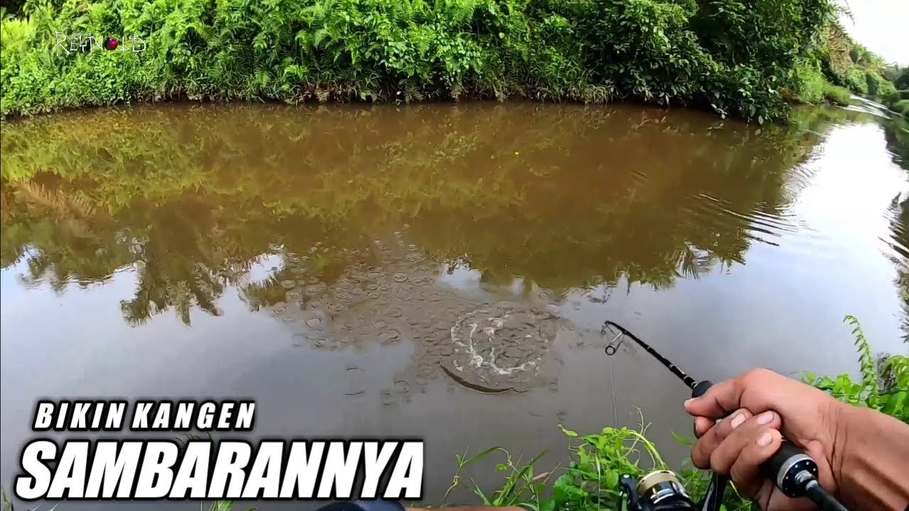 Memancing ikan HAMPALA di spot keramat ||Reynold sb 02/07/19