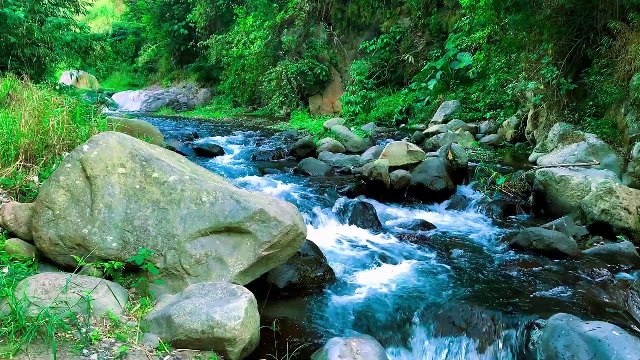 Calm Flowing Water with Calm Nature ASMR for Tension Release & Spa