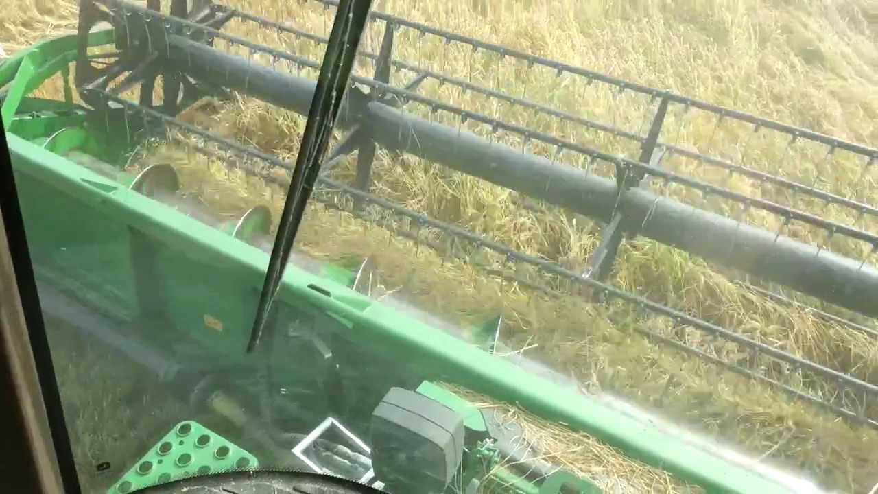 Moisson du riz avec John Deere S 560 et  670 i au Mas de l'Hoste