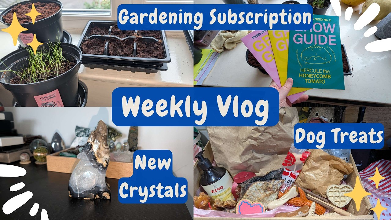 Gardening Updates, New Crystals & Lots of Dog Hauls | WEEKLY VLOG