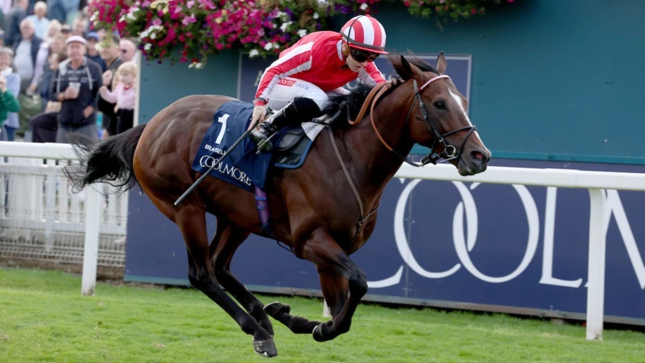 Brilliant BRADSELL bullies Nunthorpe rivals