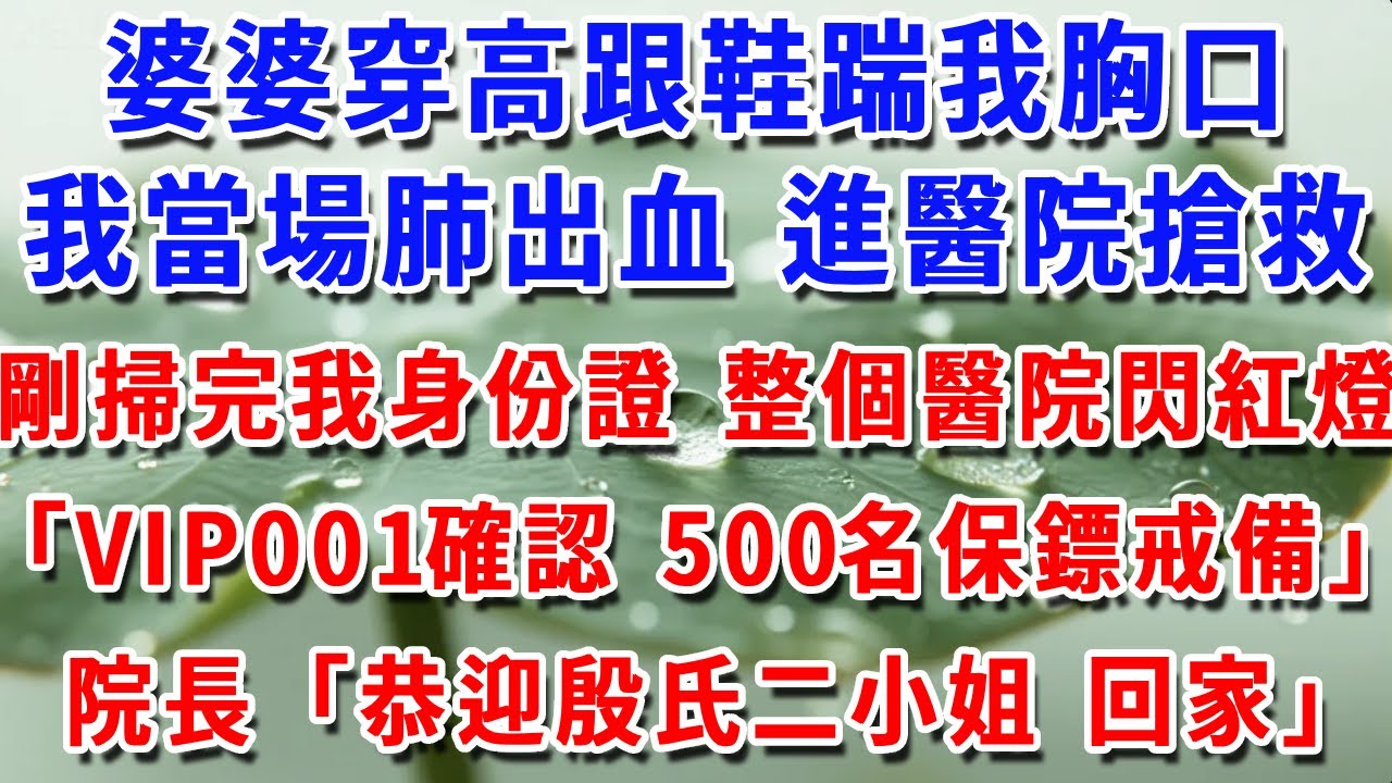 婆婆穿高跟鞋踹我胸口，我當場肺出血進醫院搶救，護士剛掃完我身份證 整個醫院閃紅燈，「VIP001確認 500名保鏢戒備」院長顫聲」#一帆說故事 #為人處世 #生活經驗 #情感 #故事 #彩礼
