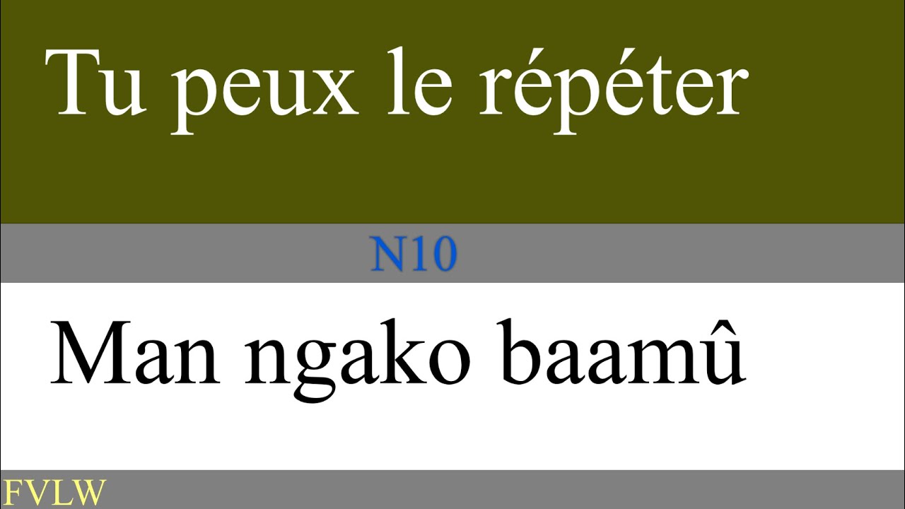 Apprendre le français en Wolof || Des phrases plus utilisées traduits en wolof N10