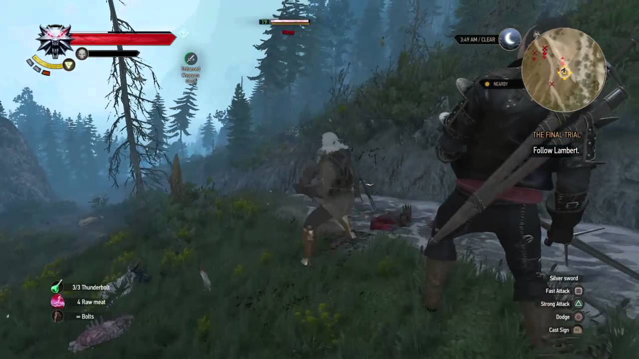 Witcher 3 - Killing Harpy