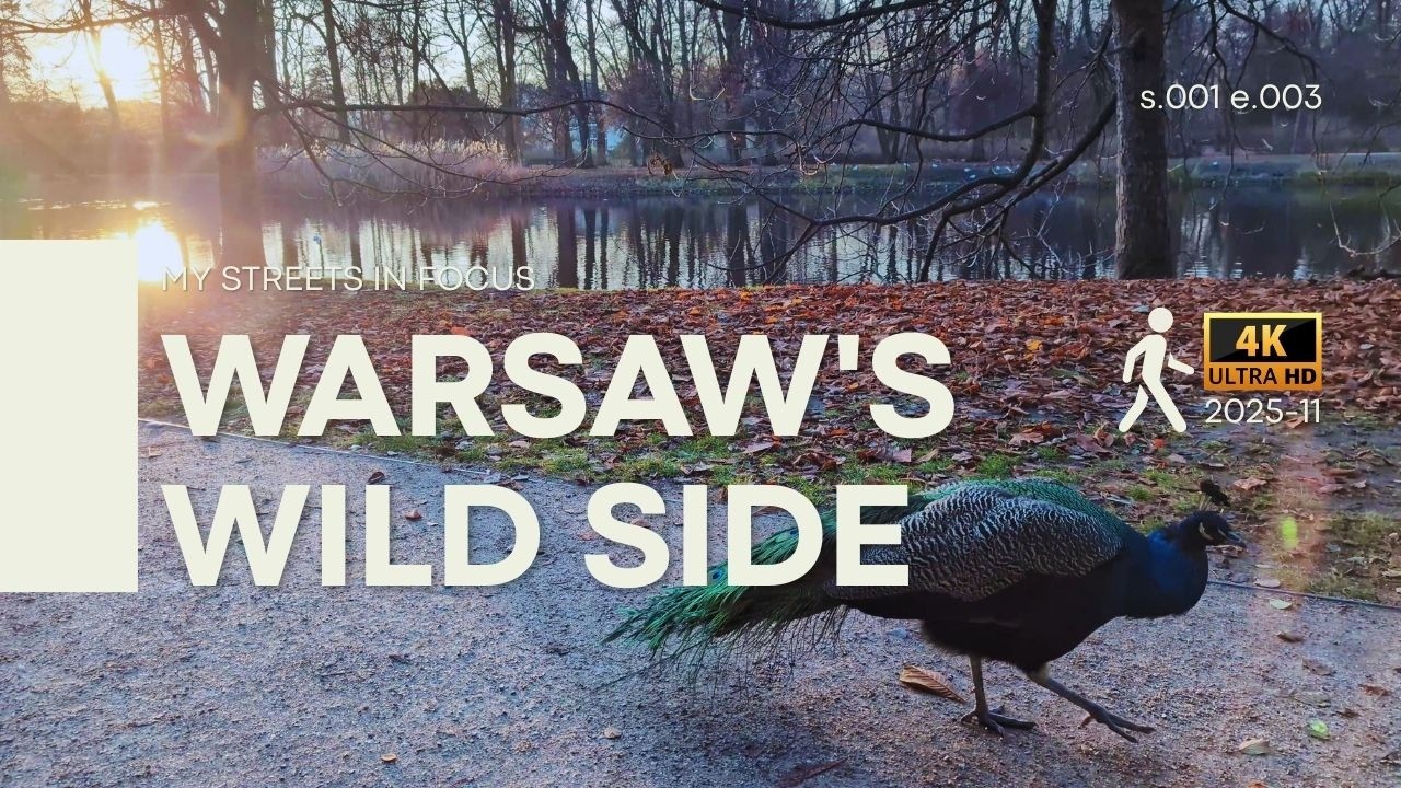 Warsaw Royal Baths Park Walking 👑 Palace on the Isle & Peacocks | 4K, Sunny Afternoon, No Talking