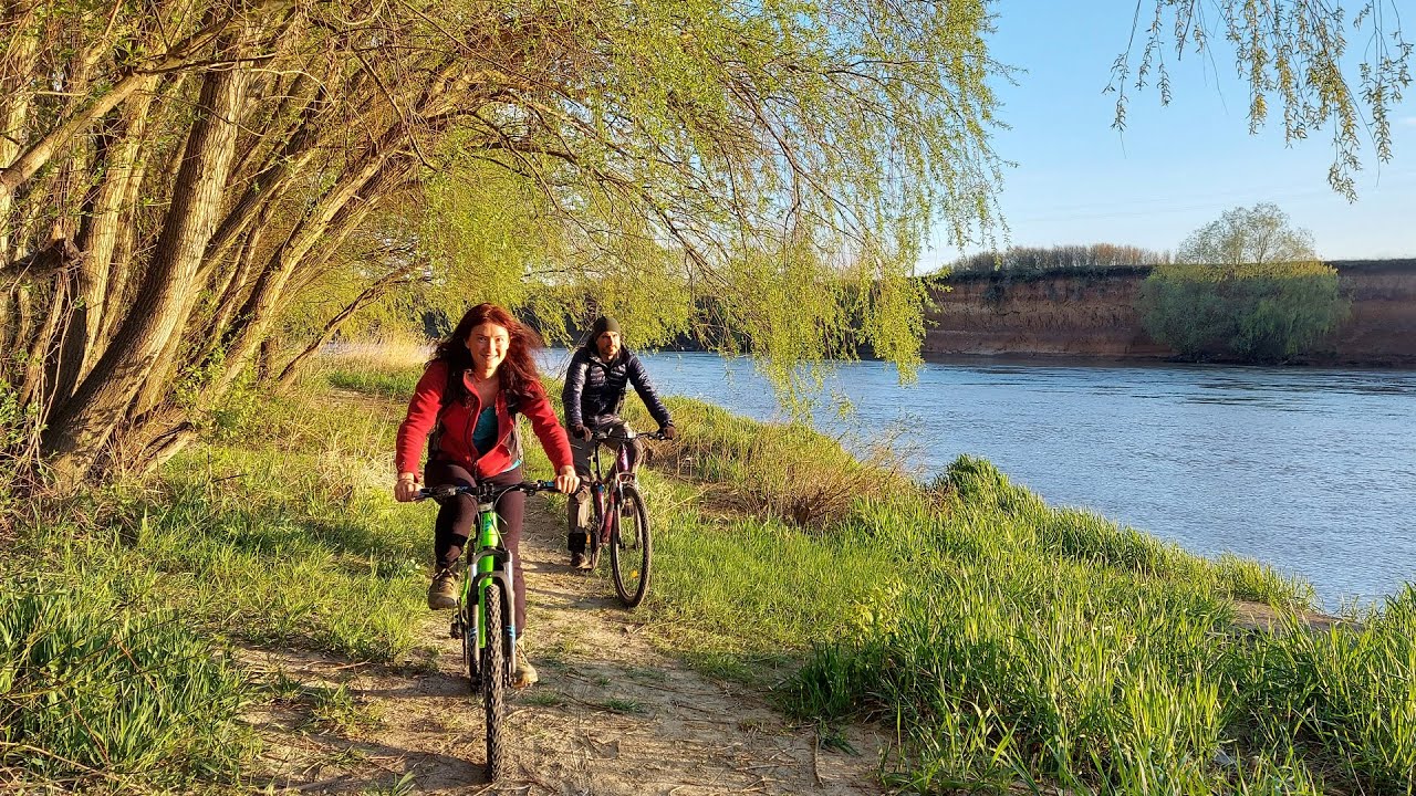 Lunca Muresului - o zona salbatica, superba, a Romaniei. O zi pe bicicleta in padure, printre pasari