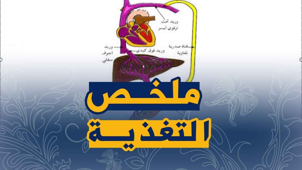 ملخص التغذية عند الانسان علوم طبيعية السنة الرابعة متوسط