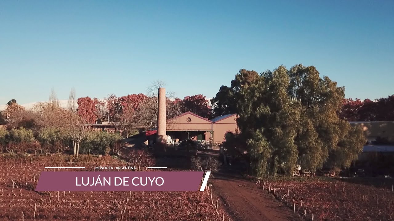 BODEGA LAGARDE
