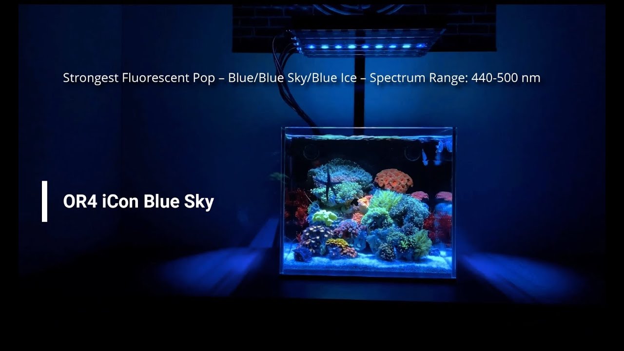 Orphek OR4 30 iCon: iConic Colors on My Nano Reef (Channel-by-Channel Demo)