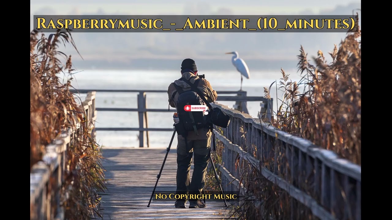 Raspberry Music Ambient (10 minutes) | Background Music | No Copyright Music