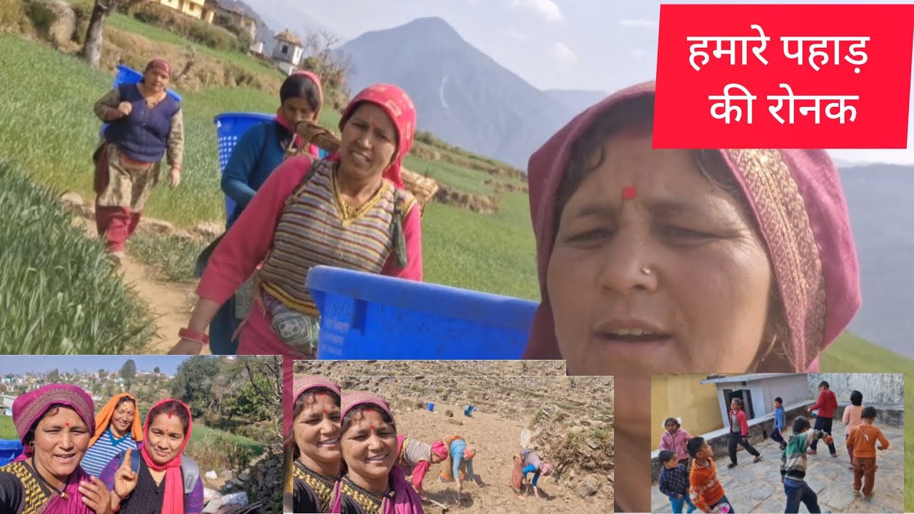 हमारे पहाड़ की रोनक #devbhumi#Uttrakhand# देवभूमि उत्तराखंड #pahadi#Garhwali