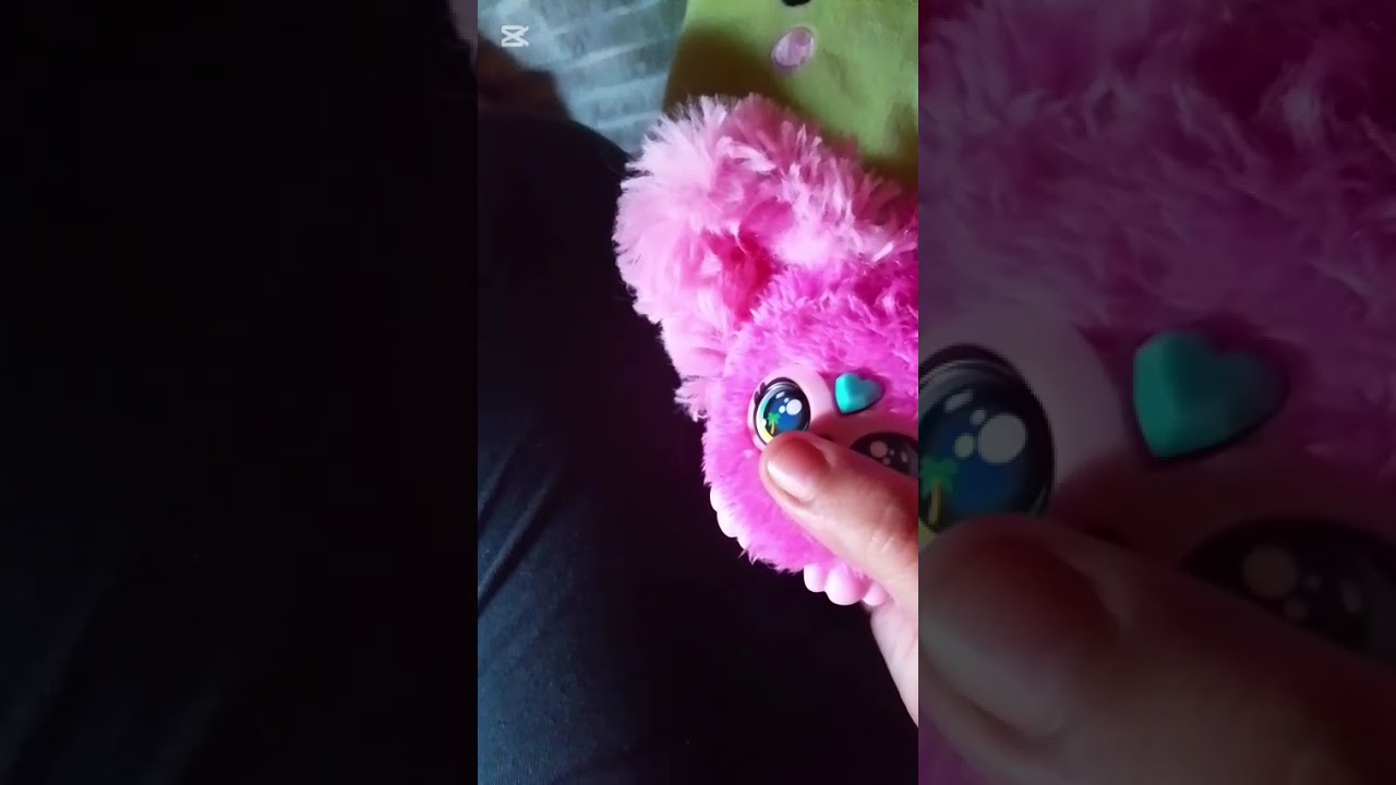 Kawaii animals 