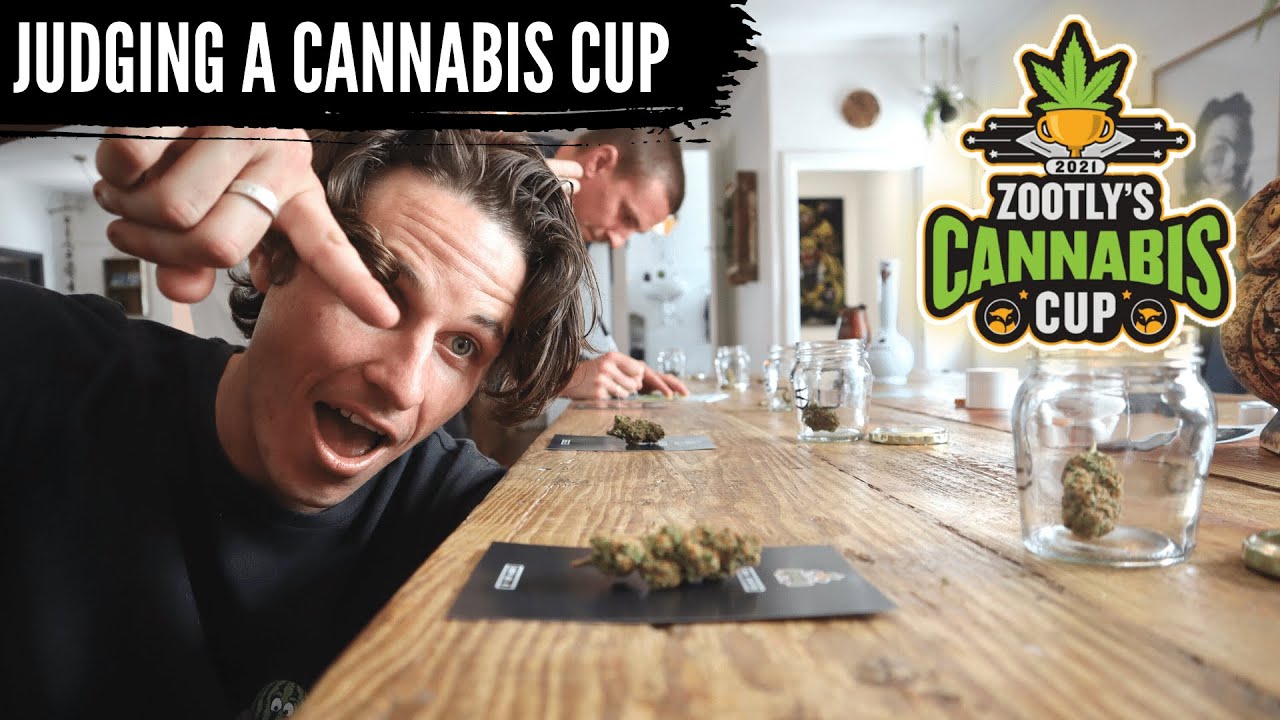 How to Judge a Cannabis Cup! - Zootly 2021