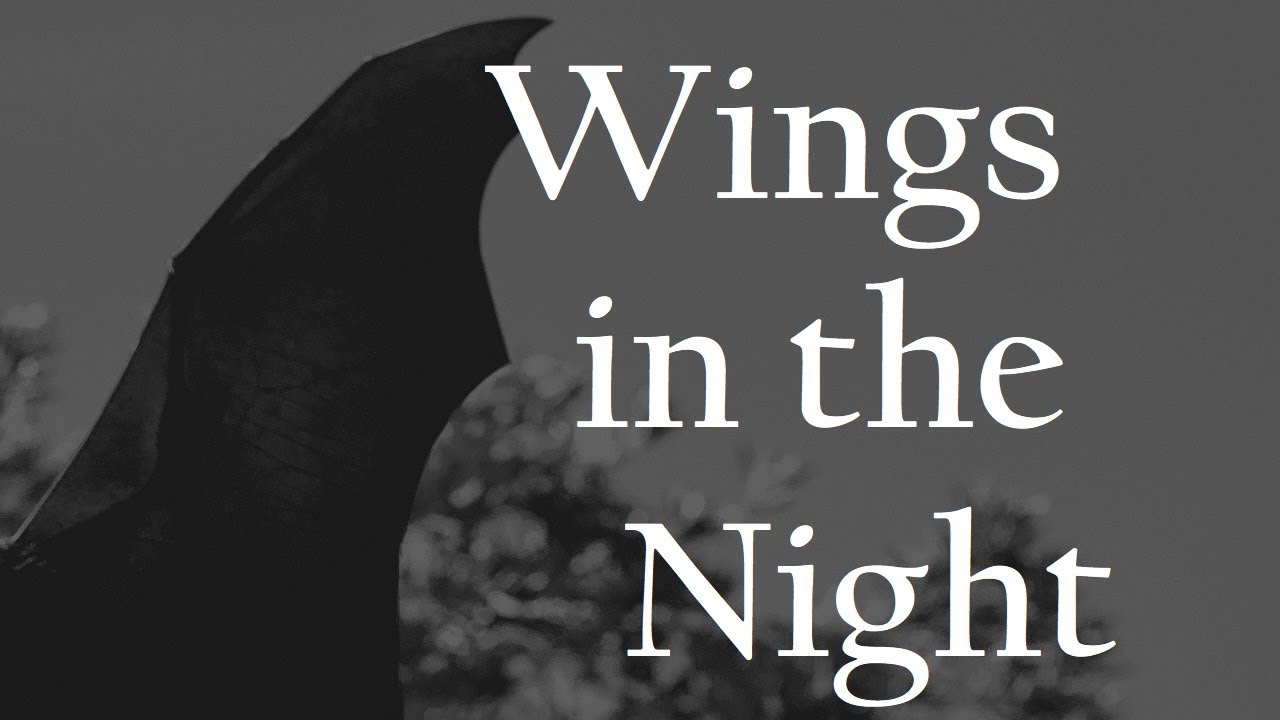Solomon Kane – Wings in the Night, by Robert E. Howard #audiobook #robertehoward #solomonkane