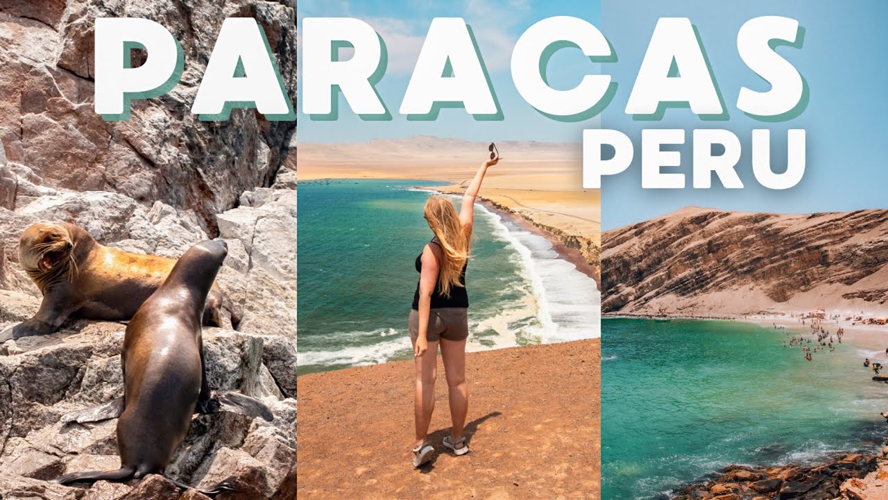 Exploring the beautiful Paracas; national reserve, sea lions & penguins 🐧 Peru travel vlog