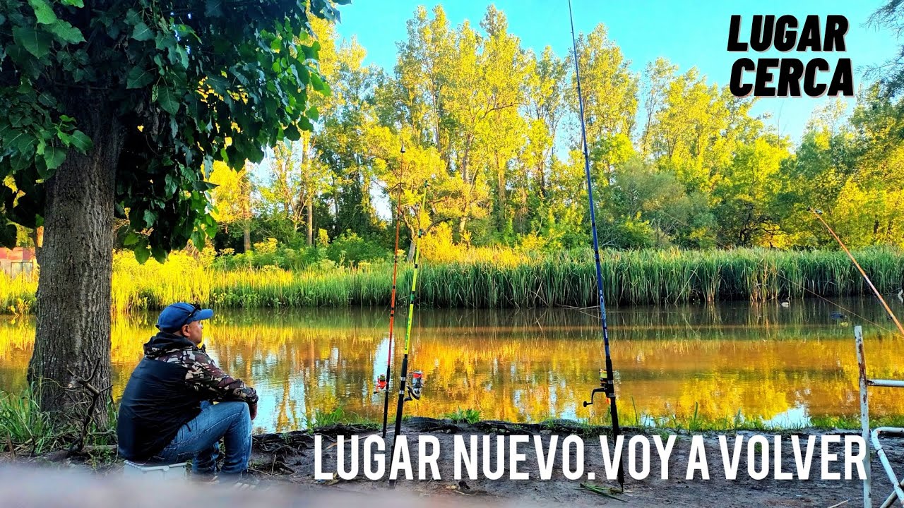 PESCA EN LUGAR NUEVO Y ACA CERCA #fishing #pesca #fish #lineadepesca #carpfishing 