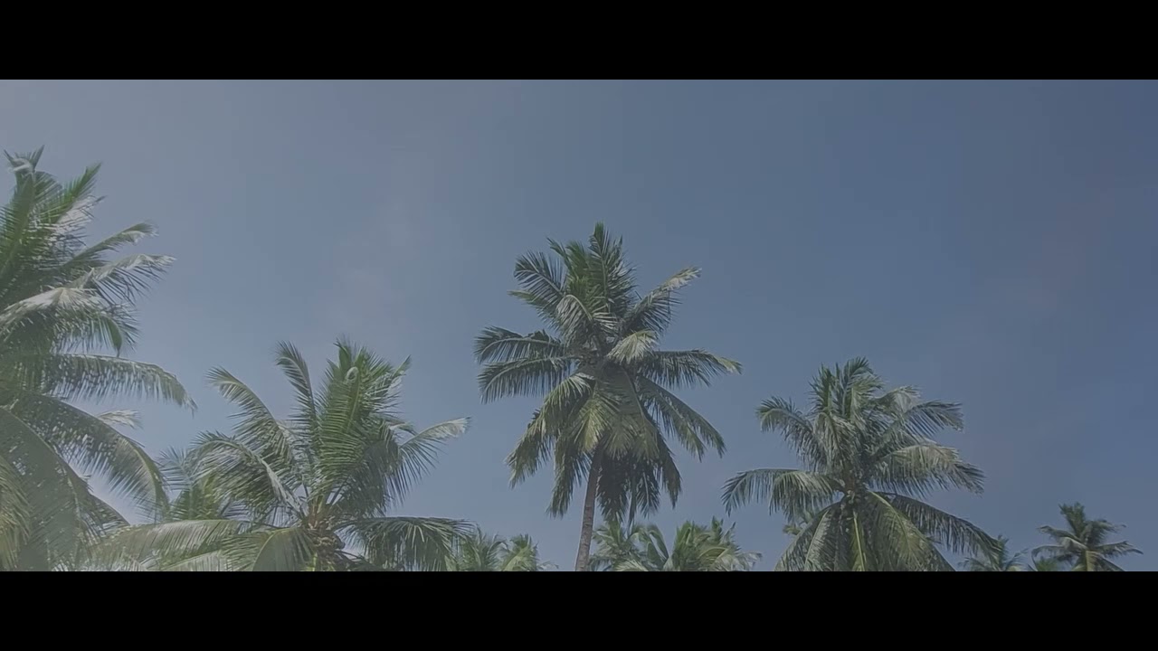 Baila Mix Cover Version by Mohan Fernando