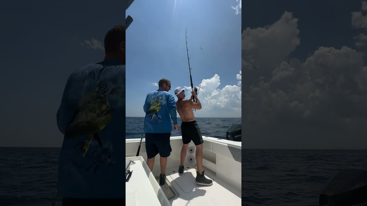 Bonita fish, practically jumping in the boat
