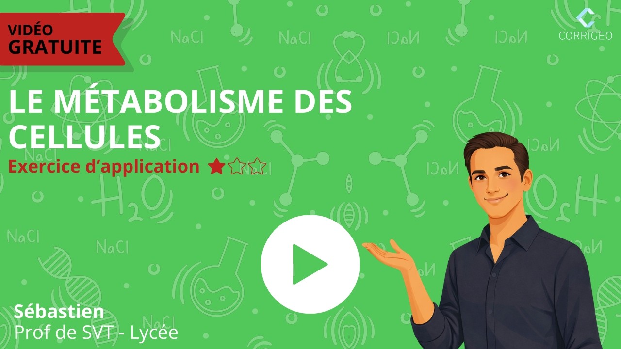 SVT 2de/Ex difficulté ⭐ Ch3 : Le métabolisme des cellules