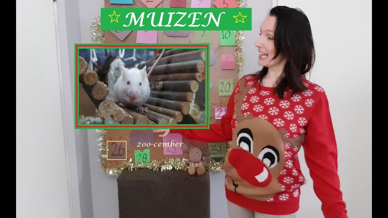 MUIZEN bak schoon maken en close up 🎄26🎄 Zoo-Cember