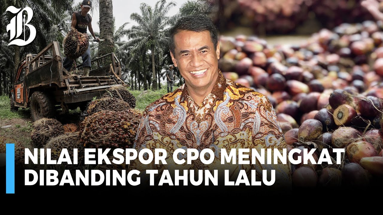 Jadi Tumpuan Sektor Pertanian, Pemerintah Dorong Hilirisasi Komoditas Sawit